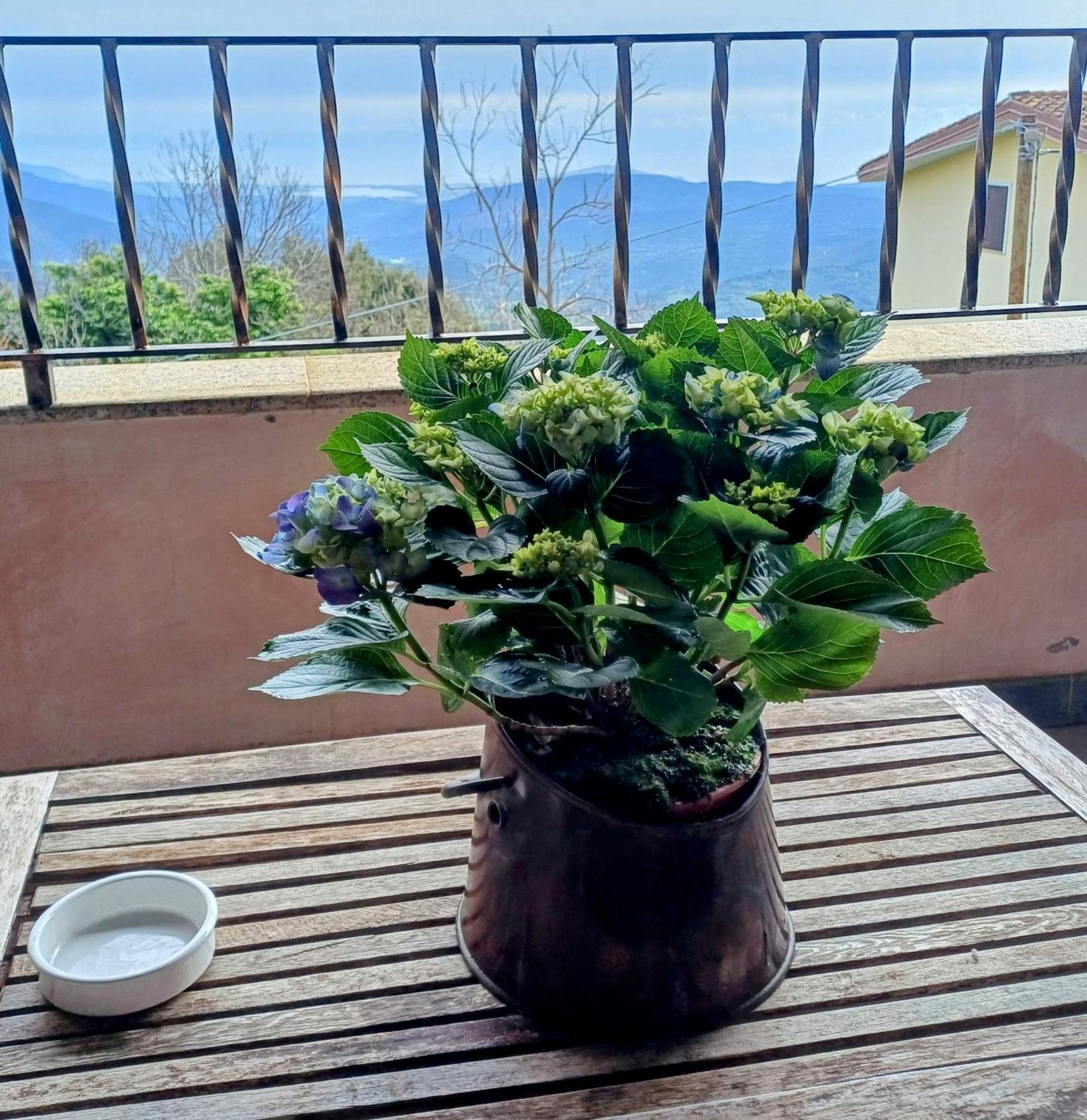 Monti E Mare Bed & Breakfast Ланузеи Екстериор снимка